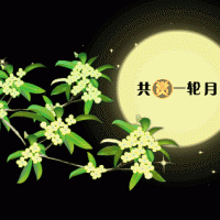 奧邦|遙望月將圓，顧家正當(dāng)時(shí)